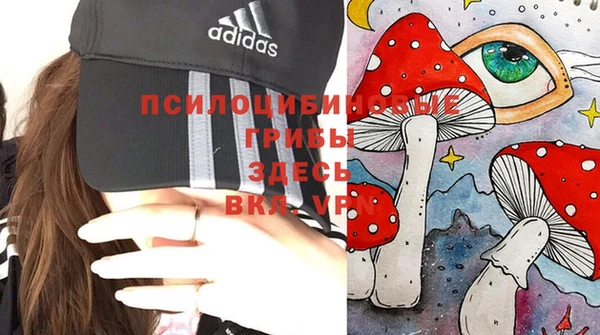 дживик Абаза