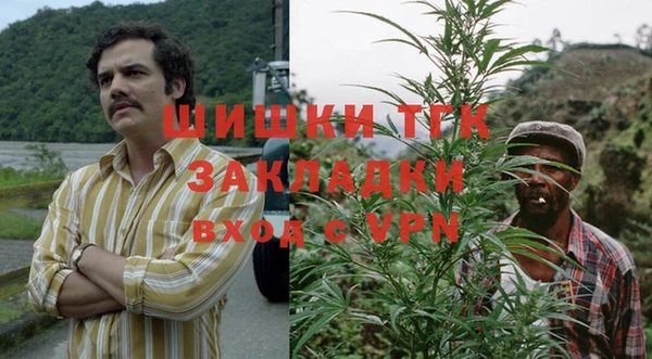дживик Абаза